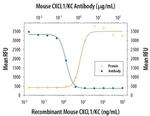 CXCL1 Antibody