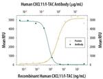 CXCL11 Antibody