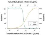 Eotaxin 3 Antibody