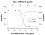 CXCL5 Antibody in Neutralization (Neu)