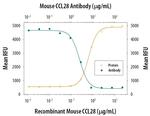 CCL28 Antibody in Neutralization (Neu)