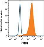 Folate Receptor alpha Antibody in Flow Cytometry (Flow)