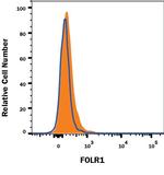 Folate Receptor alpha Antibody in Flow Cytometry (Flow)