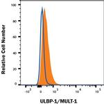 ULBP1 Antibody in Flow Cytometry (Flow)