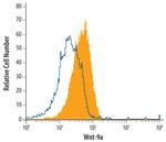 WNT9A Antibody in Flow Cytometry (Flow)