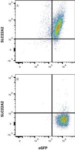 SLC22A2 Antibody in Flow Cytometry (Flow)