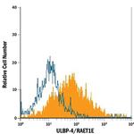 N2DL4 Antibody in Flow Cytometry (Flow)