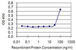 ETV3 Antibody in ELISA (ELISA)