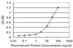 IFNA13 Antibody in ELISA (ELISA)