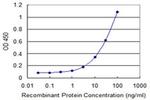 Mimecan Antibody in ELISA (ELISA)