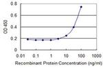 ZHX3 Antibody in ELISA (ELISA)