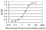 ARL2BP Antibody in ELISA (ELISA)