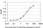 VPS8 Antibody in ELISA (ELISA)