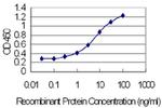 ODAM Antibody in ELISA (ELISA)