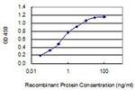 CHRNA9 Antibody in ELISA (ELISA)