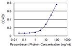 IDI2 Antibody in ELISA (ELISA)