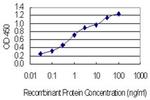 CHCHD4 Antibody in ELISA (ELISA)