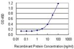 BNIPL Antibody in ELISA (ELISA)