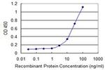 RCAN1 Antibody in ELISA (ELISA)