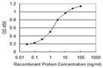 COMMD1 Antibody in ELISA (ELISA)