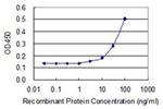 HGD Antibody in ELISA (ELISA)