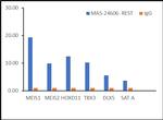 REST Antibody in ChIP Assay (ChIP)