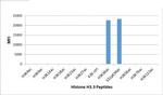 H3K36ac Antibody in Luminex (LUM)