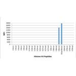 H3K36me3 Antibody in Luminex (LUM)