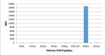 H2BK20ac Antibody in Luminex (LUM)