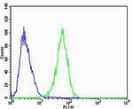 Calpain 6 Antibody in Flow Cytometry (Flow)