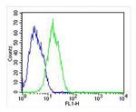 RAB3B Antibody in Flow Cytometry (Flow)