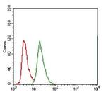 ABCG5 Antibody in Flow Cytometry (Flow)