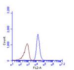 SQSTM1 Antibody in Flow Cytometry (Flow)