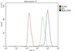 Emerin Antibody in Flow Cytometry (Flow)