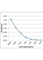 Human IgG4 Secondary Antibody in ELISA (ELISA)