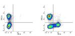 CD18 (LFA-1 beta) Antibody in Flow Cytometry (Flow)