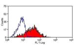 Talin Antibody in Flow Cytometry (Flow)