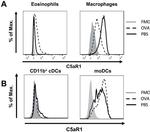 C5AR1 Antibody in Flow Cytometry (Flow)