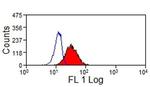 CD107a (LAMP-1) Antibody in Flow Cytometry (Flow)