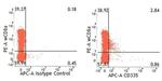 CD335 (NKp46) Antibody in Flow Cytometry (Flow)