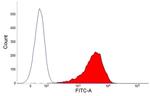 CD43 Antibody in Flow Cytometry (Flow)