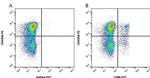 CD8b Antibody in Flow Cytometry (Flow)