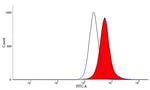 CD115 (c-fms) Antibody in Flow Cytometry (Flow)