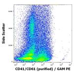 DUSP2 Antibody in Flow Cytometry (Flow)