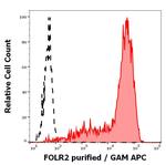 FOLR2 Antibody in Flow Cytometry (Flow)