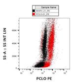 PCLO Antibody in Flow Cytometry (Flow)