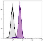 Bcl-xL Antibody in Flow Cytometry (Flow)