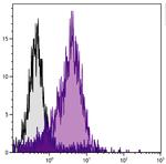 CD30 Antibody in Flow Cytometry (Flow)