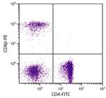 CD8b Antibody in Flow Cytometry (Flow)