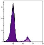 CD8b Antibody in Flow Cytometry (Flow)